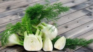 propiedades del hinojo